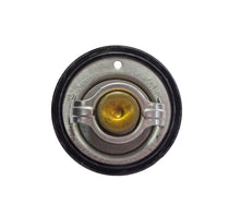 Carica l&#39;immagine nel visualizzatore di Gallery, TERMOSTATO T-MAX 500 04-11