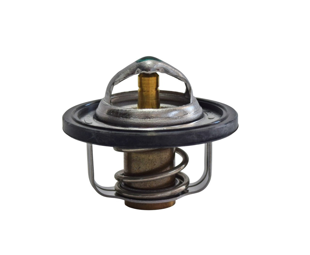 TERMOSTATO T-MAX 500 04-11