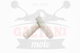 COPPIA MANOPOLE GRIGIE D.23 VESPA 4857