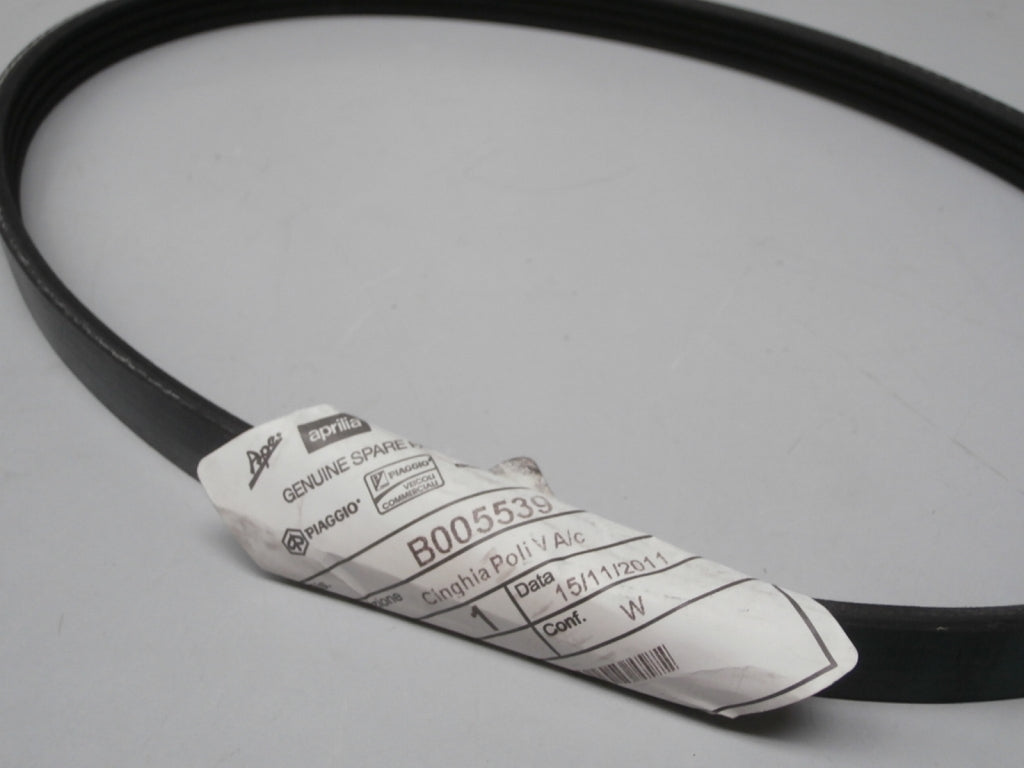 PIB005539 - CINGHIA CONDIZIONATORE PORTER 1300 10-15