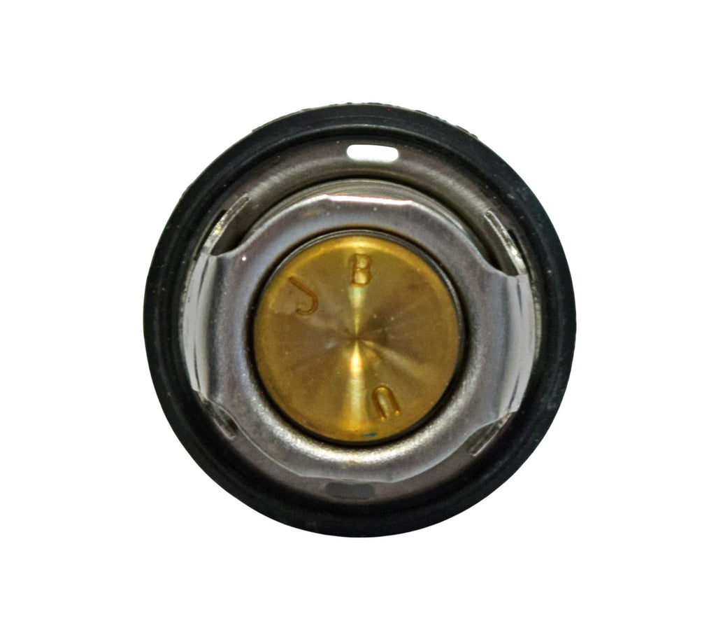SZ17670-08D10-000 - TERMOSTATO BURGMAN 250-400 98-02