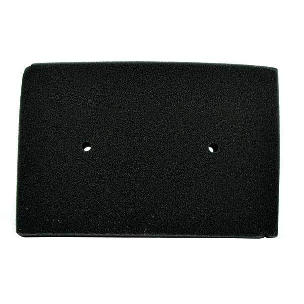 SG264894 - FILTRO ARIA Z 300 15-16