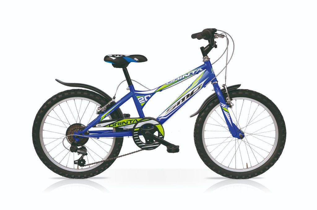 1U1036B - BICI RAGAZZO 'GRINTA' 20 6 VELOCITÀ BLU