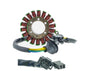 BGMST0130 - STATORE BURGMAN 250-400 98-03