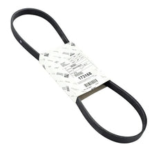 Carica l'immagine nel visualizzatore di Gallery, PI1A012843 - CINGHIA ALTERNATORE PORTER NP6 1500