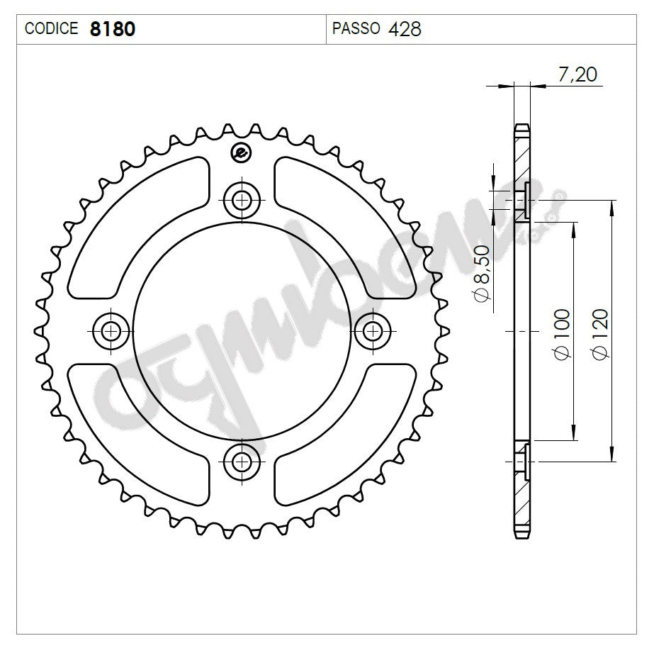 OG368180351 - CORONA PROF.ERGAL BETA 125 RR 4T