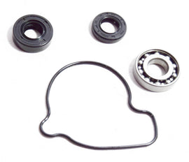 KIT REVISIONE POMPA ACQUA HOT RODS WPK00