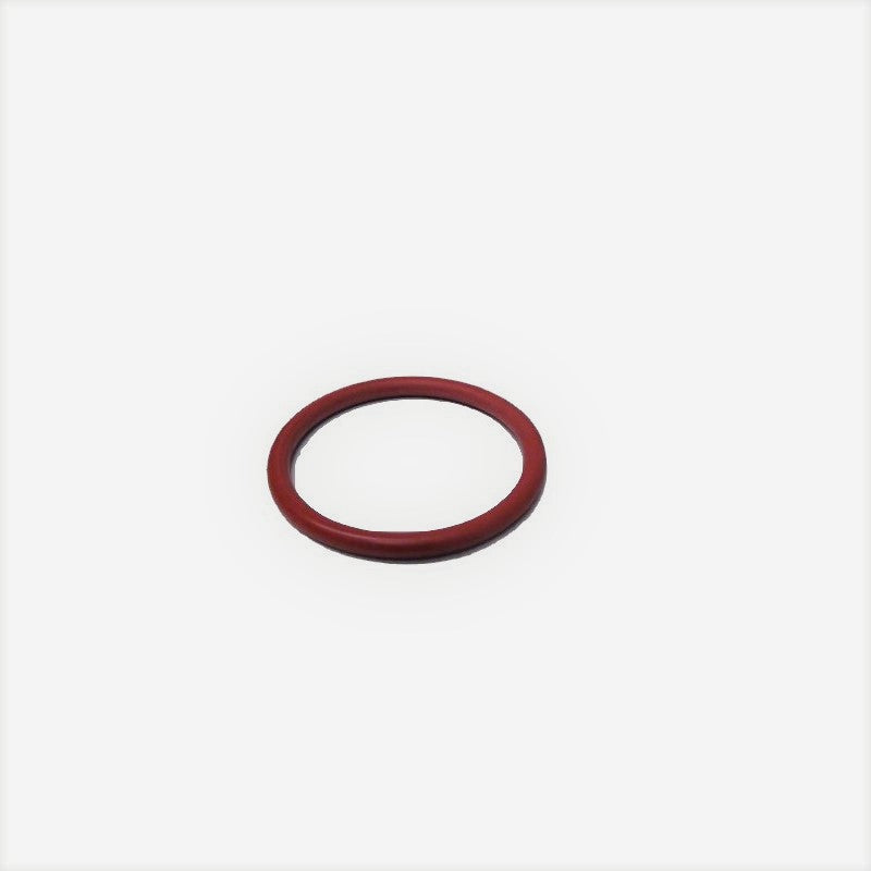 O-RING TAPPO LOMBARDINI FOCS