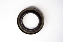 PARAOLIO MOT LOMBARDINI FOCS/QUARGO