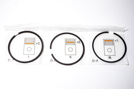 8211056 - SERIE FASCE ELASTICHE LOMBARDINI 400 STD 86