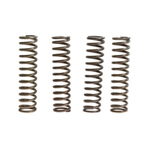 Carica l&#39;immagine nel visualizzatore di Gallery, KIT 4 MOLLE FRIZIONE Z750 04-14