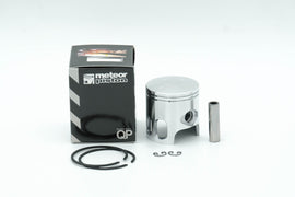 PISTONE D.48-SP.10 T.POLINI MIN 50 GI