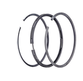 RSMOT578005 - SERIE SEGMENTI RIF.1669 DIAMETRO 57