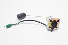 Carica l&#39;immagine nel visualizzatore di Gallery, SONDA BENZINA C/GUARNIZIONE F10