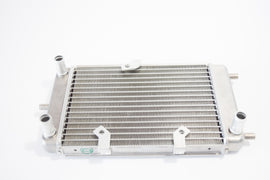 RADIATORE ACQUA MADISON 125-250 9901