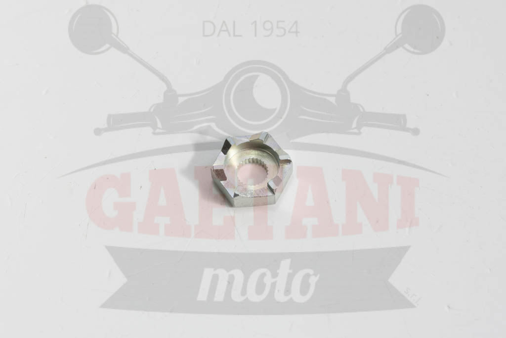 SCODELLINO DENTATO MESSA IN MOTO