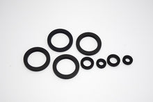 Carica l&#39;immagine nel visualizzatore di Gallery, SERIE PARAOLIO FORCELLA 250-500