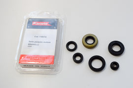 SERIE PARAOLIO MOTORE MINARELLI AM6