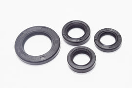 SERIE PARAOLIO MOTORE LIBERTY 50