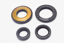 SERIE PARAOLIO MOTORE SFERA RST 125 - VE