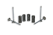 Carica l'immagine nel visualizzatore di Gallery, KIT 4 VALVOLE+MOLLE BEVERLY 125-250-300