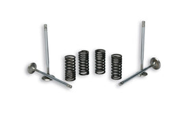 KIT 4 VALVOLE+MOLLE BEVERLY 125-250-300