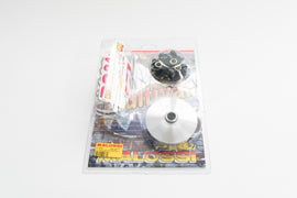 VARIATORE MULTIVAR AGILITY-PEOPLE S 50