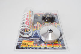 VARIATORE MULTIVAR DINK 50 2T