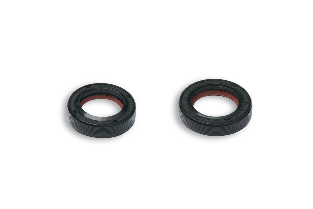 SERIE PARAOLIO FKM/PTFE ALB.M. PIAGGIO S