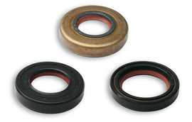 SERIE PARAOLIO FKM/PTFE REVISIONE MINARE