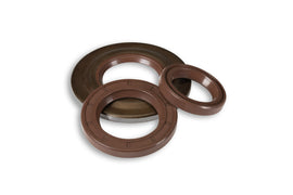 SERIE PARAOLIO FKM PER REVISIONE VESPA C