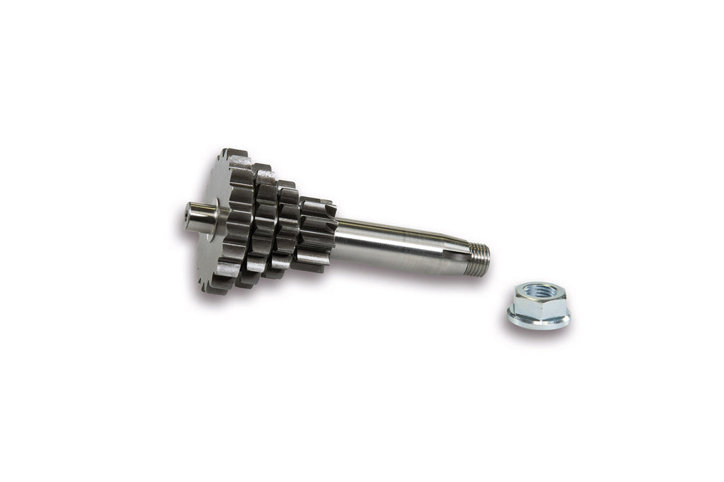 INGRANAGGIO CAMBIO MULTIPLO RACING (Z10-