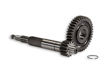 Carica l&#39;immagine nel visualizzatore di Gallery, INGRAN PRIMAR Z14/39 FORZATO D.17 NRG 50