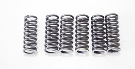 MOLLE FRIZIONE RINFORZATE