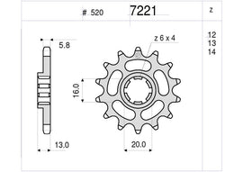 PIGNONE OGNIB. Z13 TM PASSO 520