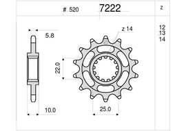 PIGNONE OE Z13 TM PASSO 520