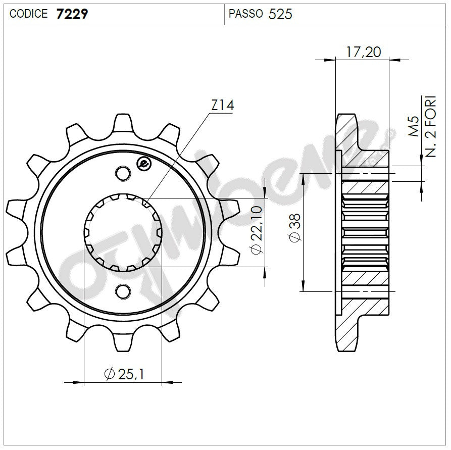 PIGNONE Z14 PASSO 525 MONSTER 795 1215