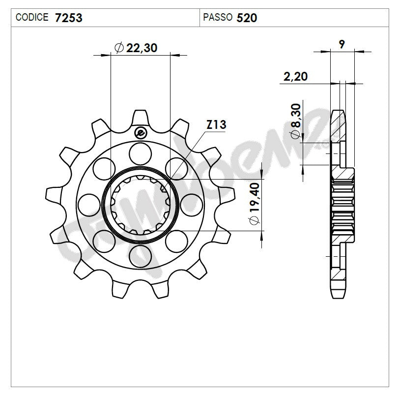 PIGNONE PROF. SUZUKI 250 RM-Z     13