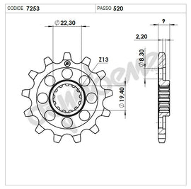 PIGNONE PROF. SUZUKI 250 RM-Z     13
