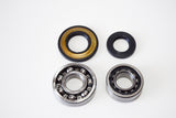 KIT CUSCINETTI E PARAOLI BANCO APE MP P501-P601