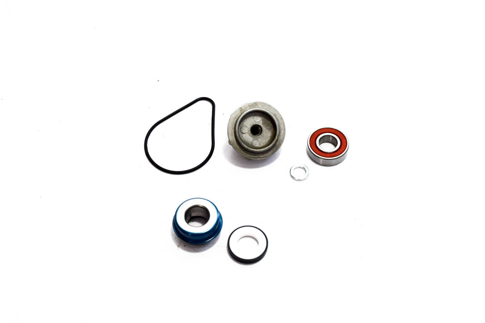 KIT REVIS POMPA ACQUA PANTHEON 125-150