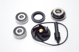 KIT REVIS POMPA ACQUA BEVERLY 250