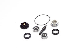 KIT REVISI POMPA ACQUA BEVERLY 250 06-07