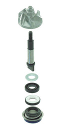 KIT REVISIONE POMPA ACQUA SH 300