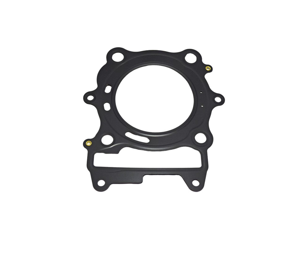 GUARNIZ TESTA DOWNTOWN I 350 15-