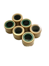 Carica l&#39;immagine nel visualizzatore di Gallery, KIT 6 RULLI VARIATORE 23X18 20 GRAMMI