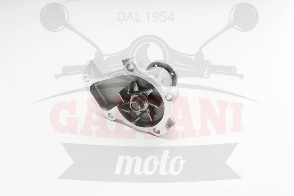 POMPA ACQUA COMPL PORTER 1300