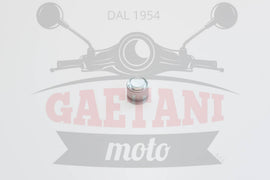 PISTONE CILINDRO FRENO ANT APE TM