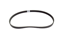 Carica l&#39;immagine nel visualizzatore di Gallery, CINGHIA COMPRESSORE ACQUA PORTER 1300
