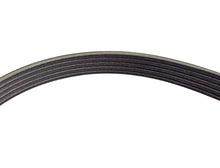 Carica l&#39;immagine nel visualizzatore di Gallery, CINGHIA COMPRESSORE ACQUA PORTER 1300